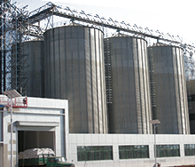 鋼架樓、筒倉(cāng)